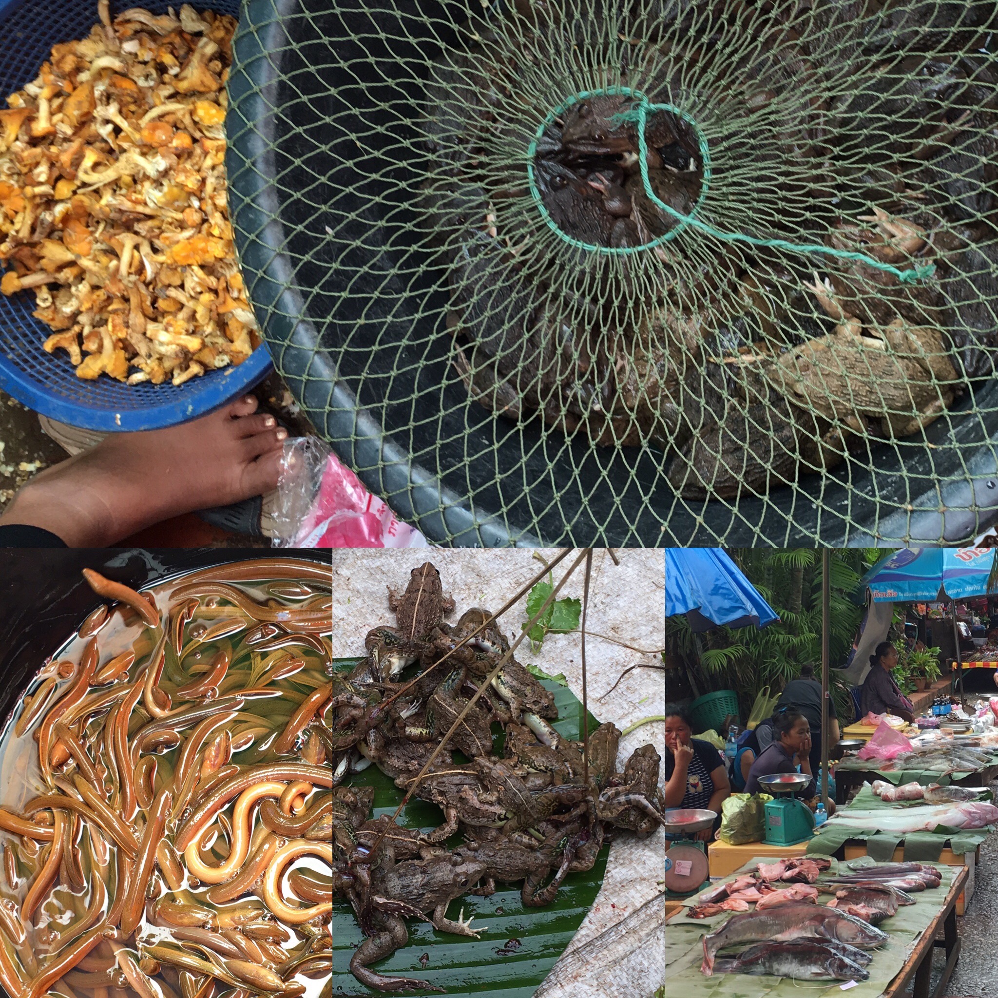 ABC5A0DC-E529-4092-B5CF-DFB68F885969